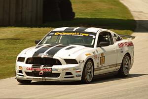 David Levine / Lucas Bize Ford Mustang Boss 302R