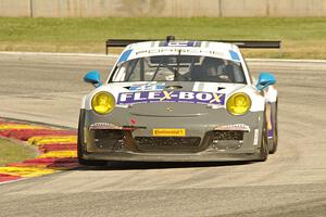 John Potter / Andy Lally Porsche 911 GT America
