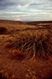 View of the high plains