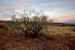 View of the high plains