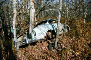 A VW Karmann-Ghia with trees growing out of it near Hurley, WI.