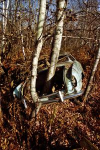 A VW Karmann-Ghia with trees growing out of it near Hurley, WI.