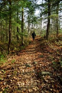 Nicole Valek, hiking near Hurley, WI.