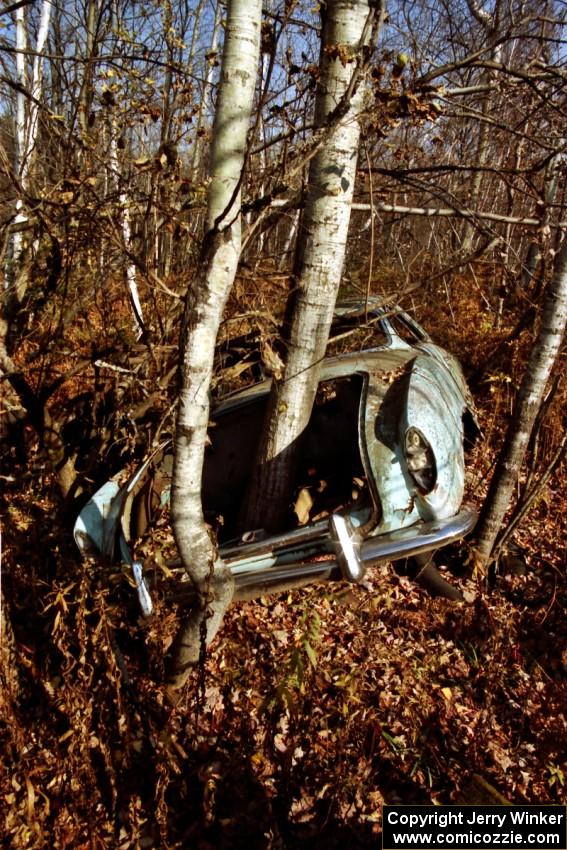 A VW Karmann-Ghia with trees growing out of it near Hurley, WI.