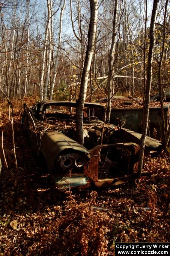 An old car with trees growing out of it near Hurley, WI.