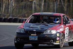 Left Shark Racing Hyundai Tiburon