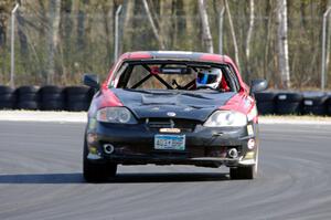 Left Shark Racing Hyundai Tiburon