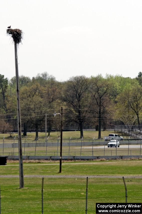 An osprey watches the Team LMR BMW 325i from its perch.