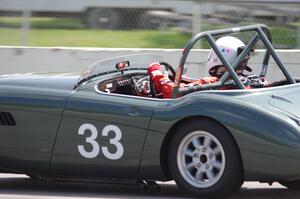 Dan Powell's Austin-Healey 3000