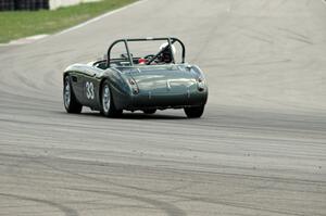 Dan Powell's Austin-Healey 3000