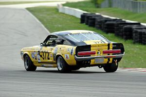 Shannon Ivey's Ford Mustang Shelby GT350