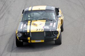 Shannon Ivey's Ford Mustang Shelby GT350