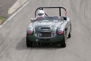 Dan Powell's Austin-Healey 3000