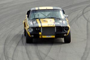 Shannon Ivey's Ford Mustang Shelby GT350