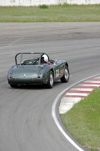 Dan Powell's Austin-Healey 3000