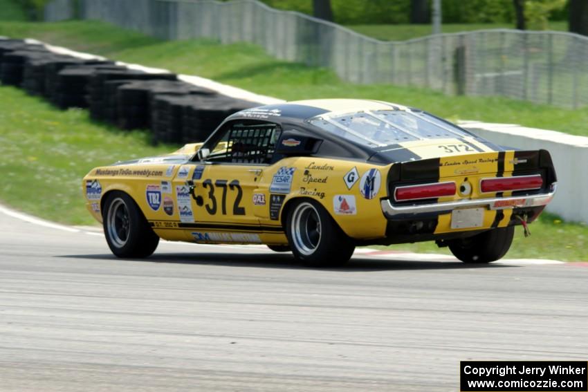 Shannon Ivey's Ford Mustang Shelby GT350