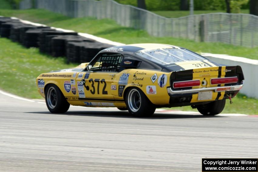 Shannon Ivey's Ford Mustang Shelby GT350