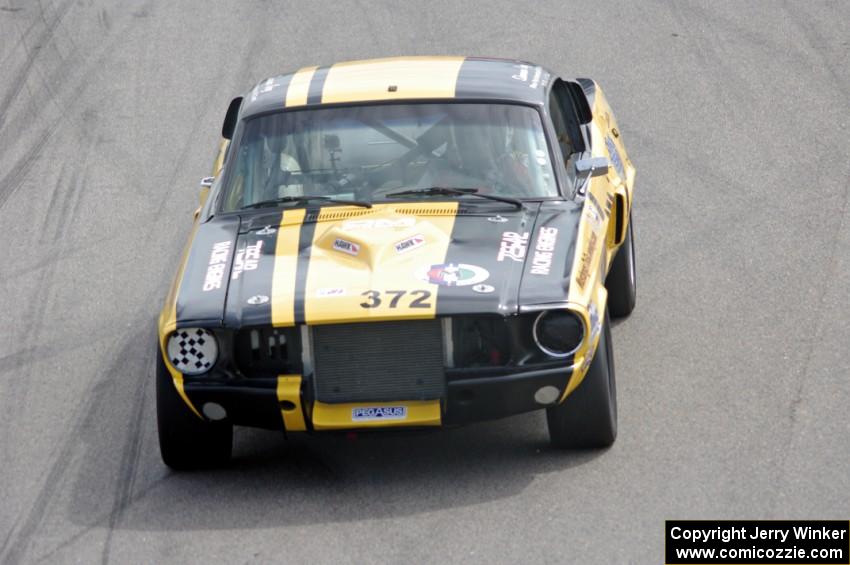 Shannon Ivey's Ford Mustang Shelby GT350