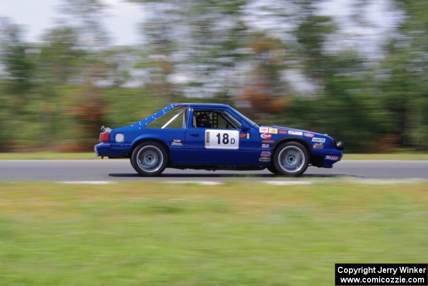 Perpetual Adolescents Racing Ford Mustang