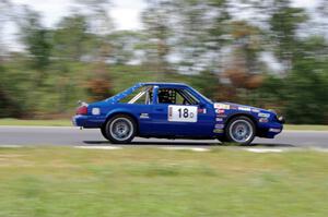 Perpetual Adolescents Racing Ford Mustang