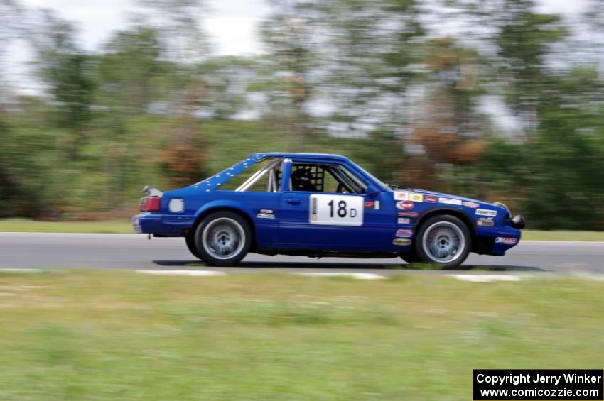 Perpetual Adolescents Racing Ford Mustang