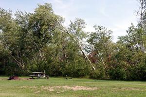 Toppled trees just off the midway portion of the front straight.