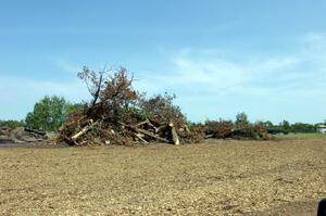 Downed trees ready for burning near the inside of turn 1.