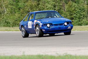 Perpetual Adolescents Racing Ford Mustang