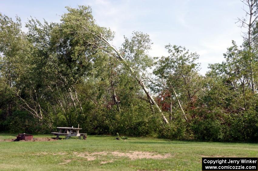 Toppled trees just off the midway portion of the front straight.