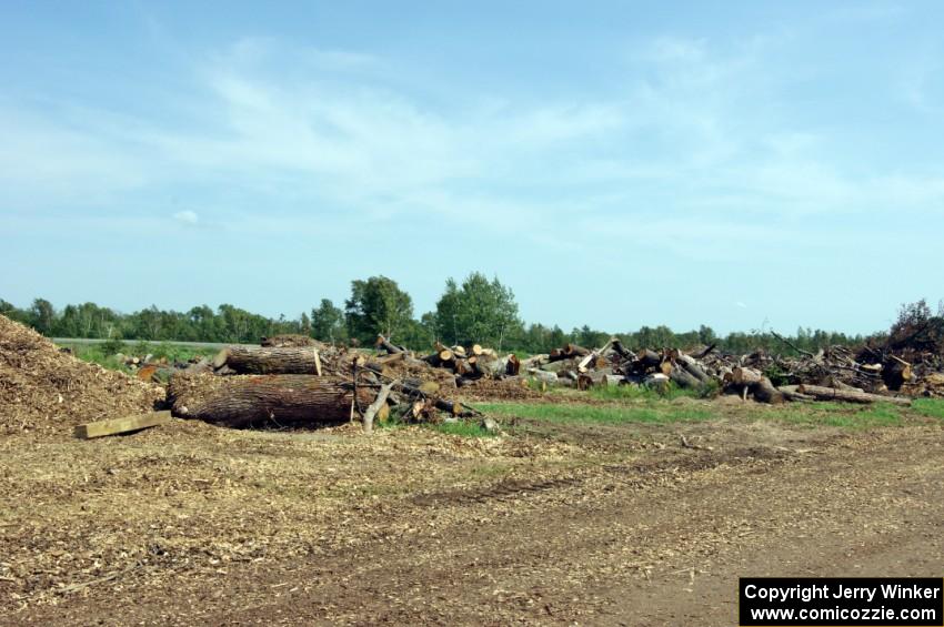 Downed trees ready for burning near the inside of turn 1.