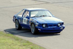 Perpetual Adolescents Racing Ford Mustang