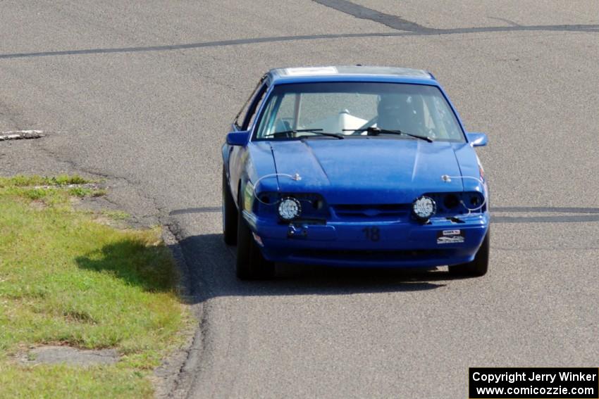 Perpetual Adolescents Racing Ford Mustang