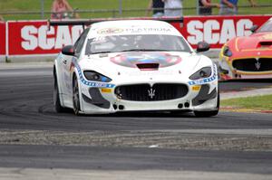 Nick Mancuso's Maserati Trofeo