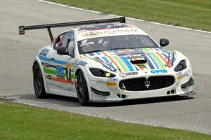 Giuseppe Fascicolo's Maserati Trofeo