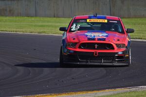 Steve Burns' Ford Mustang V6