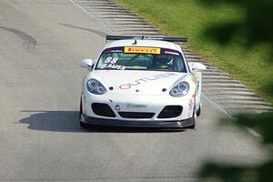 Kevin Krauss' Porsche Cayman