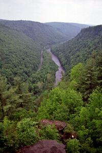 View of the Grand Canyon of the East in Pennsylvania