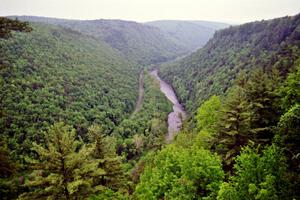 View of the Grand Canyon of the East in Pennsylvania