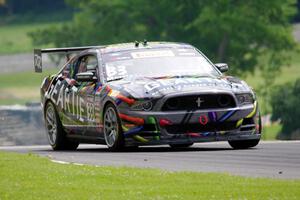 Dan Martinson's Ford Mustang Boss 302