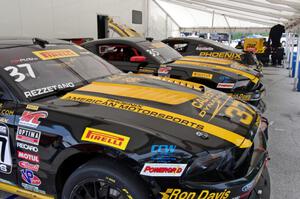 Phoenix Racing's Ford Mustang Boss 302s