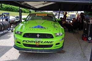 Nate Stacy's Ford Mustang Boss 302 in the paddock.