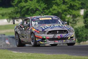 Dan Martinson's Ford Mustang Boss 302