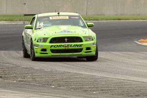 Nate Stacy's Ford Mustang Boss 302