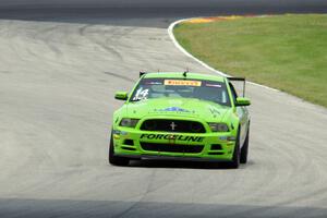 Nate Stacy's Ford Mustang Boss 302