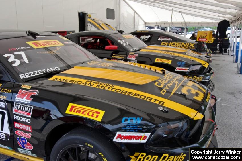 Phoenix Racing's Ford Mustang Boss 302s