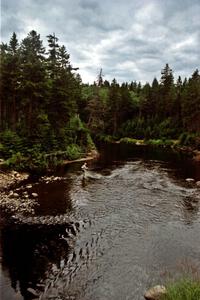 A fly fisherman at a river in the Parmachenee Forest in unaffected by the rally cars.