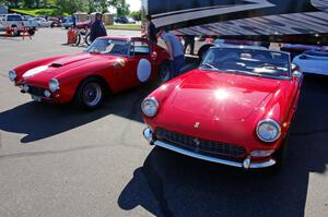 Ferrari 250 GT and Ferrari 275 GTS