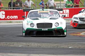 Butch Leitzinger's Bentley Continental GT3