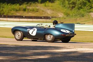 Chris MacAllister's Jaguar D-Type