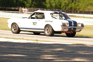 Dean DeSantis' Ford Mustang